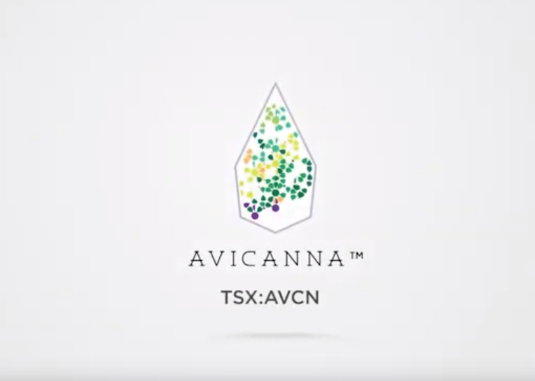 Avicanna Header Image